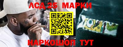 apvp Кандалакша