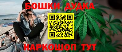 apvp Кандалакша