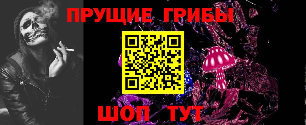Курчалой  Псилоцибиновые грибы ЛСД  Вход с VPN 