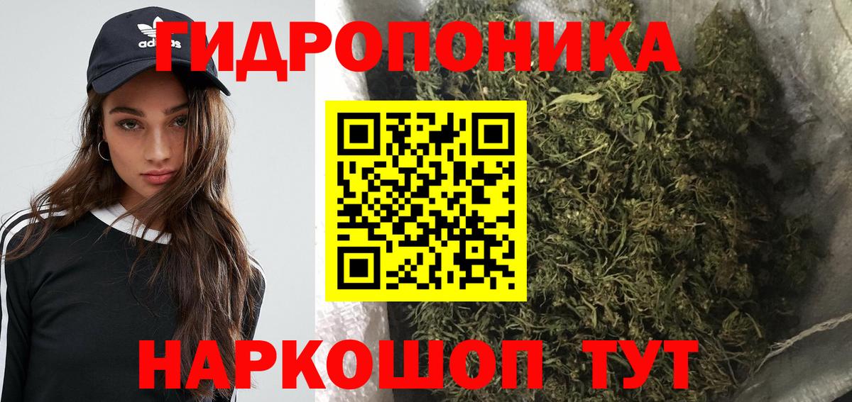МАРИХУАНА Bruce Banner Курчалой
